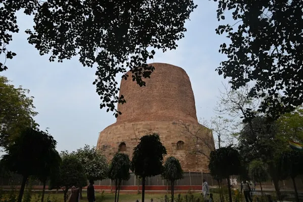Dhamek Stupa